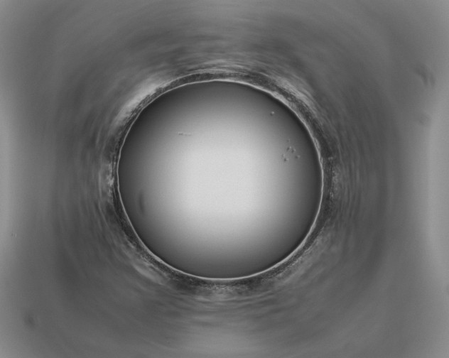 X0000113371355200909291042