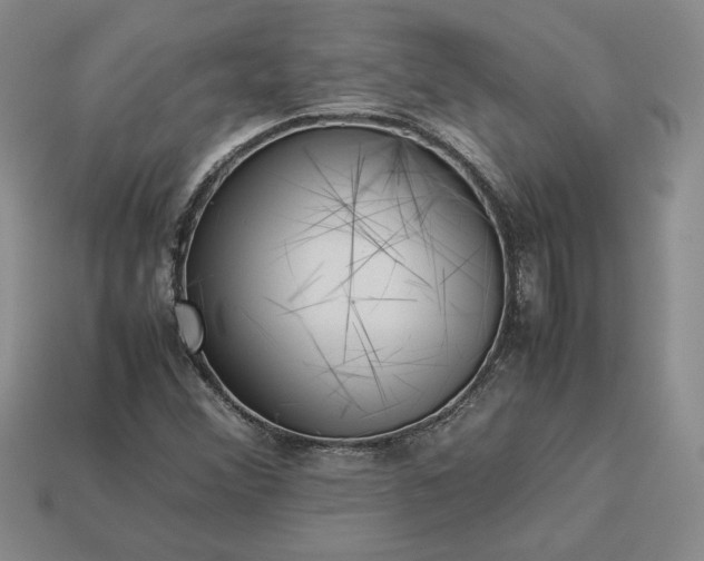 X0000113371356200909291042