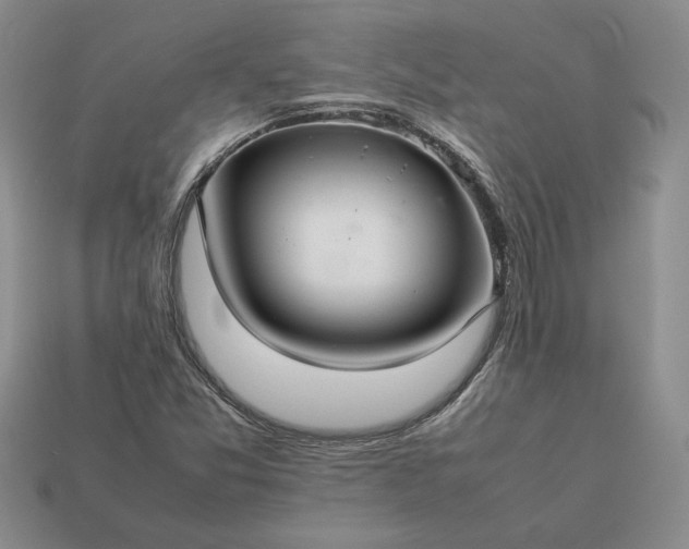 X0000113371357200909291042