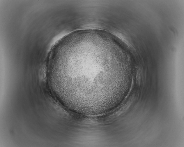 X0000113371358200909291042