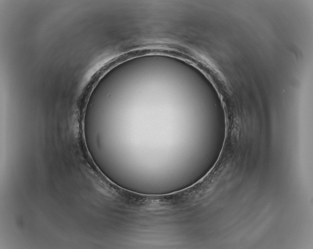 X0000113371360200909291042