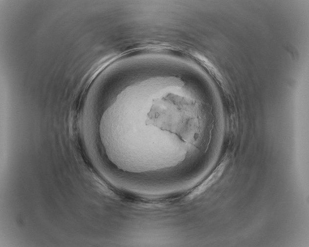 X0000113371361200909291042