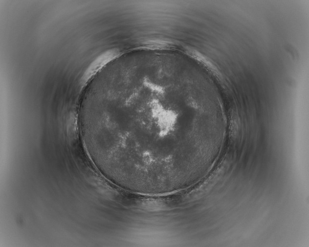 X0000113371362200909291042