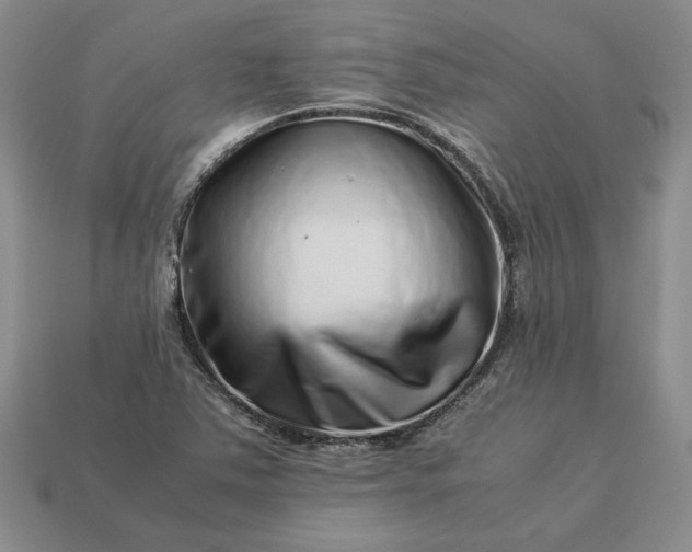 X0000113371363200909291042