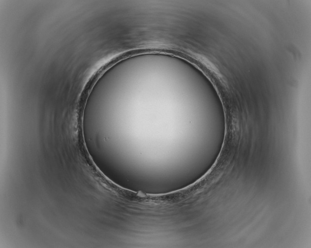 X0000113371364200909291042