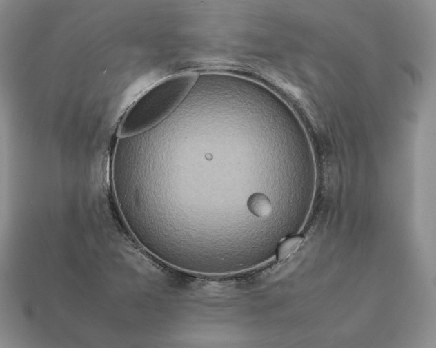 X0000113371365200909291042