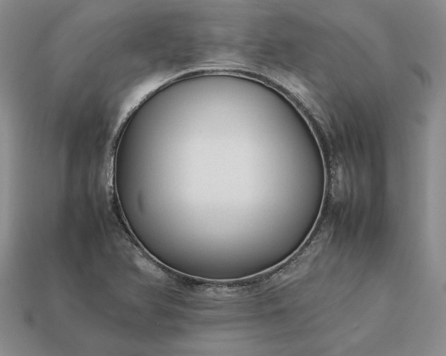 X0000113371366200909291042