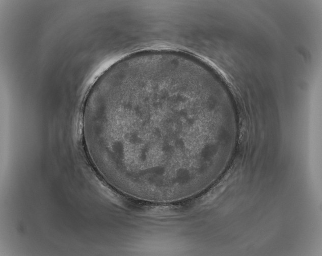 X0000113371367200909291042