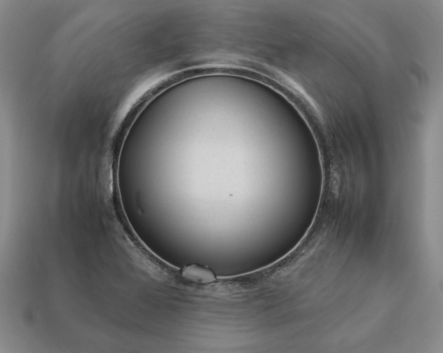 X0000113371368200909291042