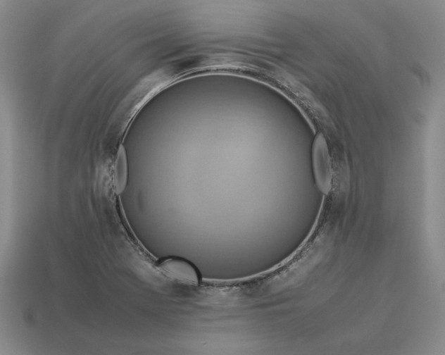 X0000113371369200909291042