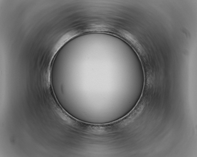 X0000113371370200909291042