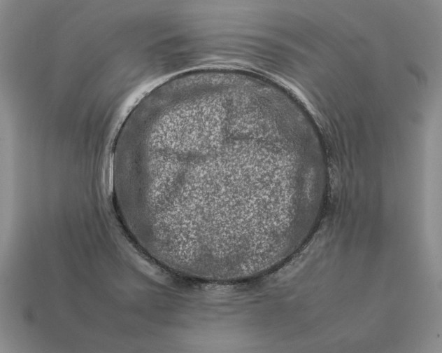 X0000113371371200909291042