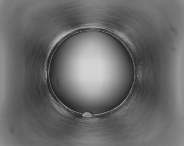 X0000113371372200909291042