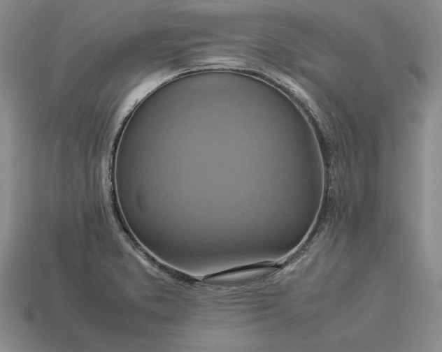 X0000113371373200909291042