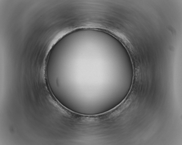 X0000113371374200909291042