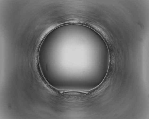 X0000113371375200909291042