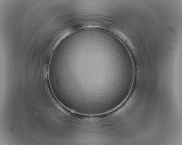 X0000113371377200909291042