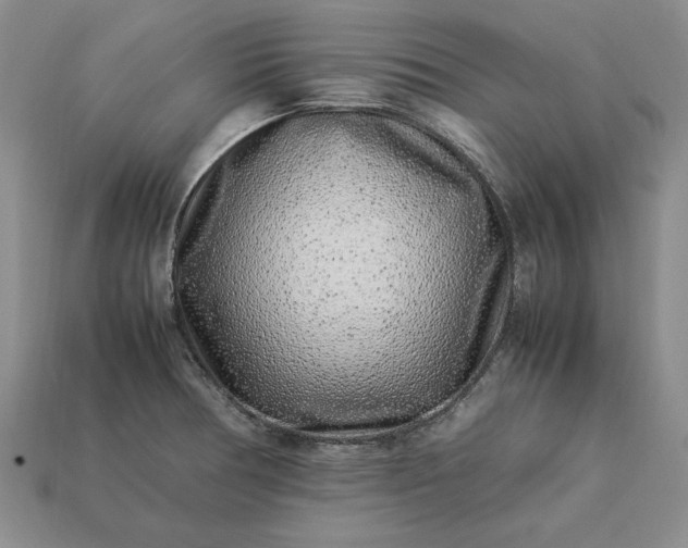 X0000113371378200909291042