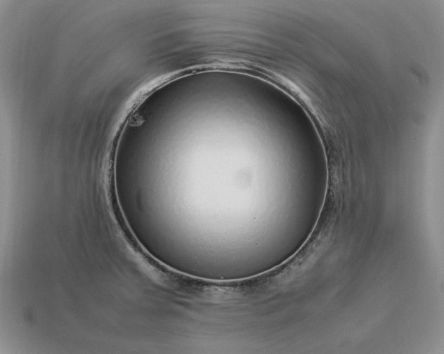 X0000113371379200909291042