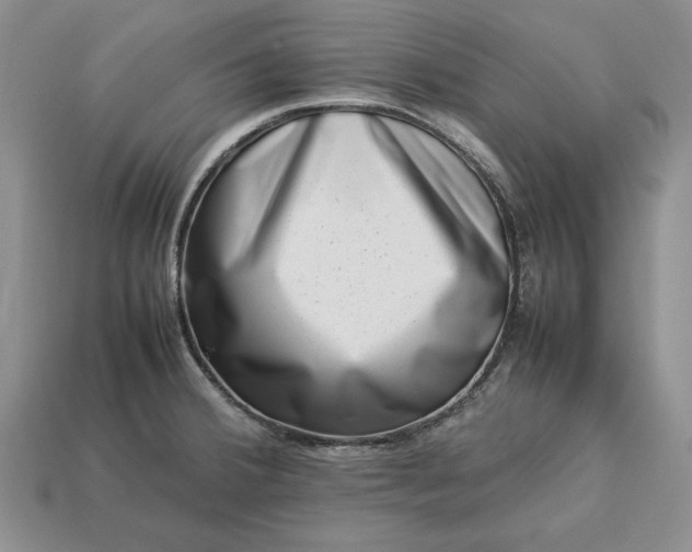 X0000113371380200909291042