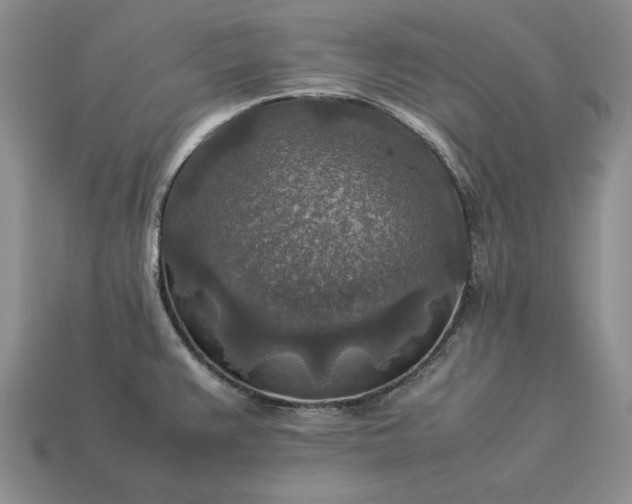 X0000113371383200909291042