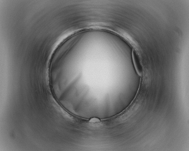 X0000113371384200909291042