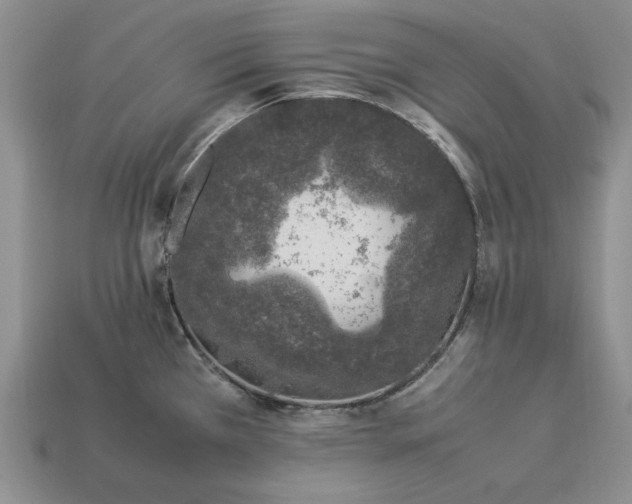 X0000113371385200909291042