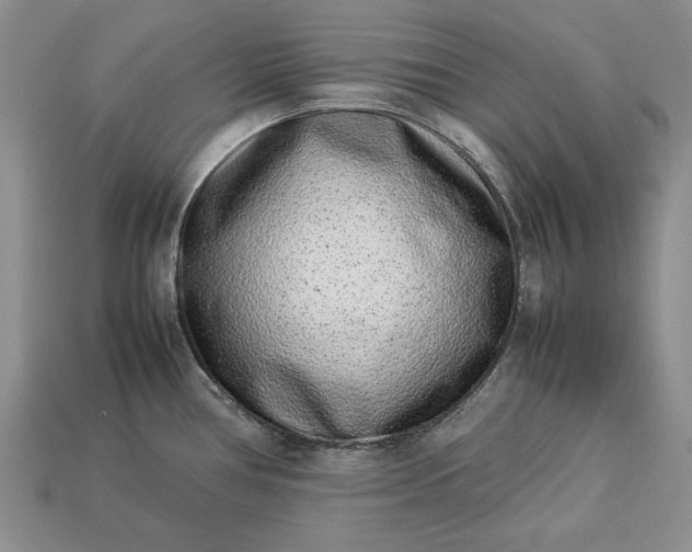 X0000113371386200909291042