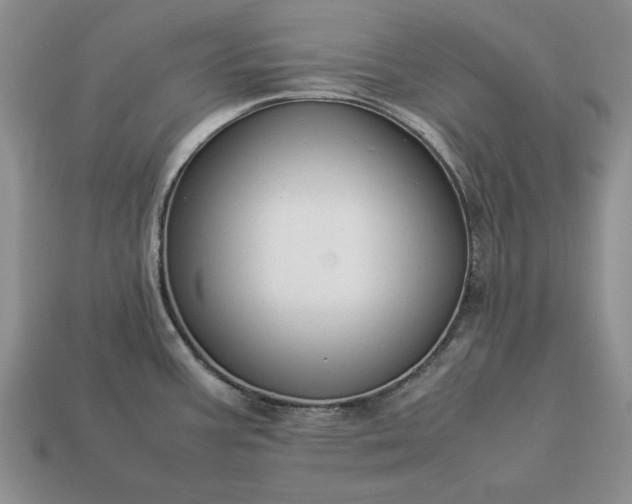 X0000113371387200909291042