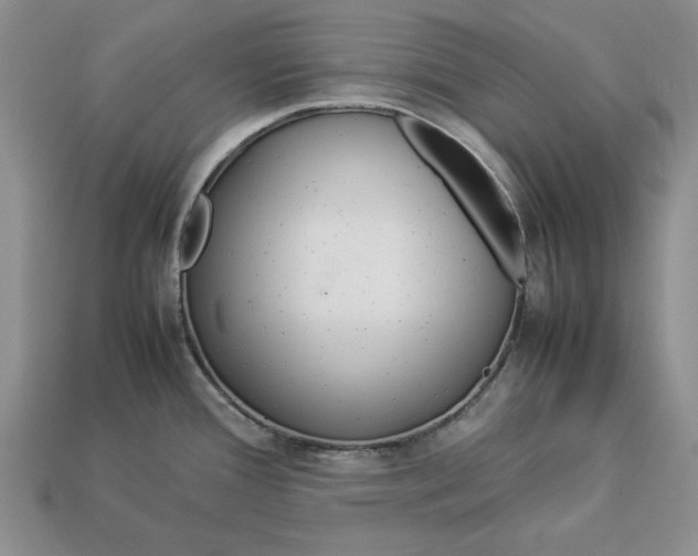 X0000113371388200909291042