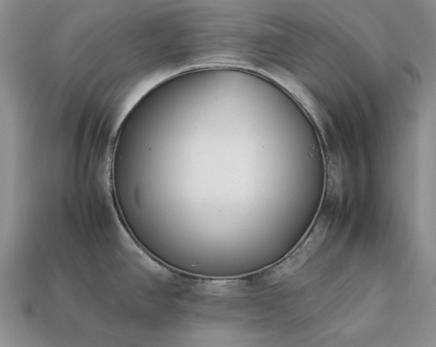 X0000113371390200909291042