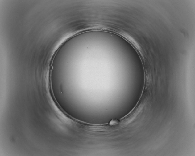 X0000113371391200909291042