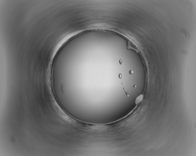 X0000113371392200909291041