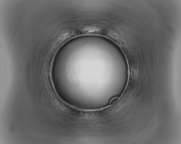 X0000113371393200909291041