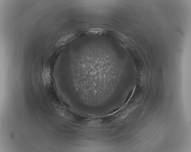 X0000113371394200909291041