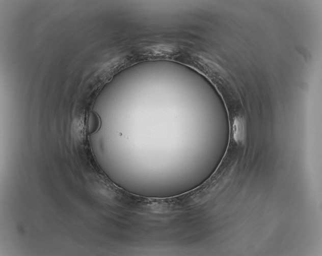 X0000113371395200909291041