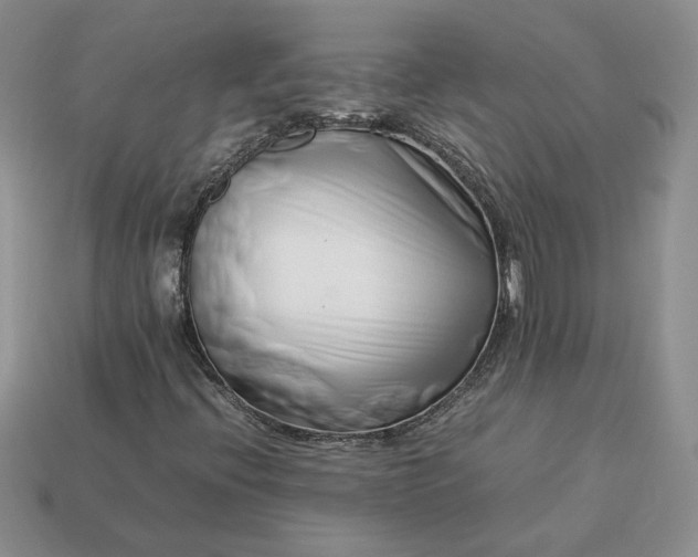 X0000113371396200909291041