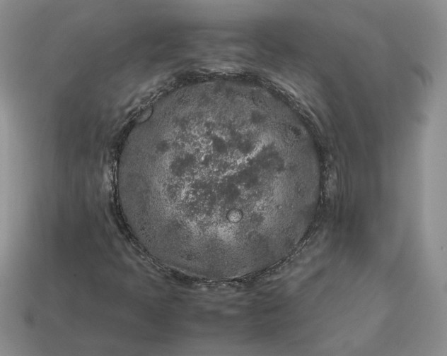 X0000113371397200909291041