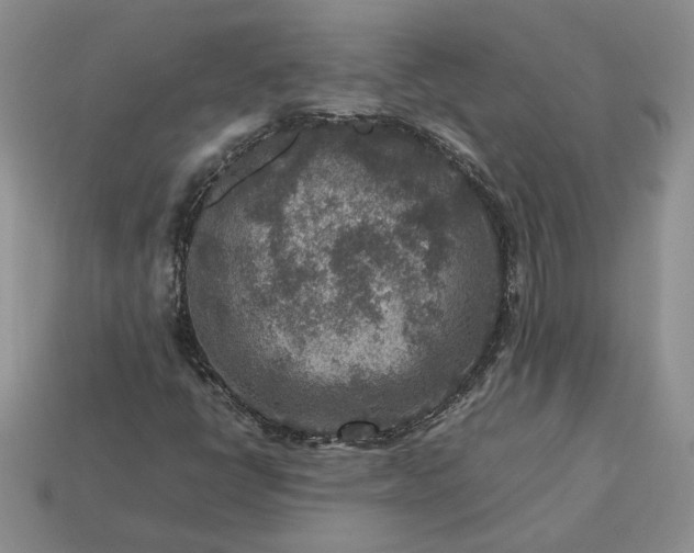 X0000113371398200909291041