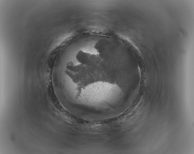 X0000113371399200909291041