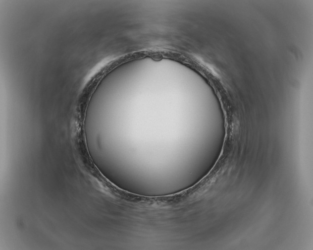 X0000113371400200909291041