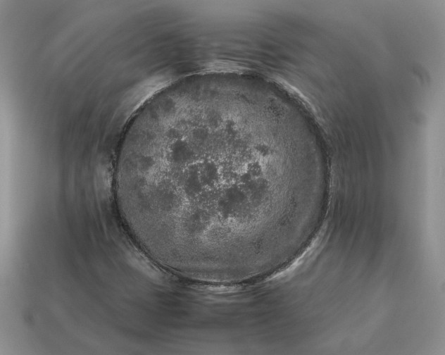 X0000113371401200909291041