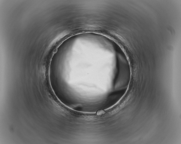 X0000113371402200909291041