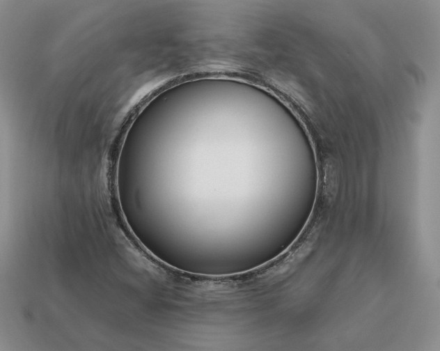 X0000113371404200909291041