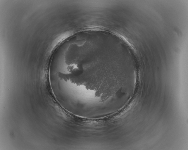 X0000113371405200909291041