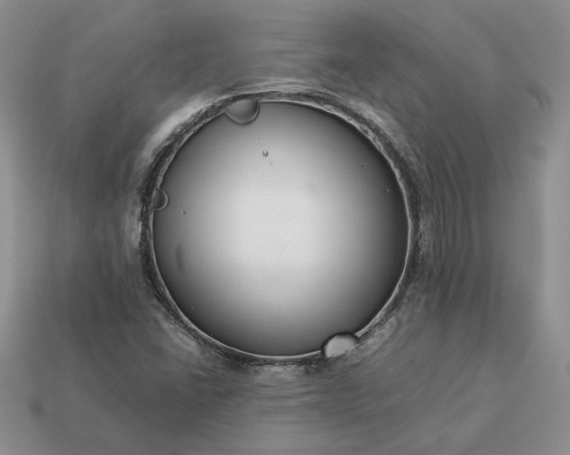 X0000113371406200909291041