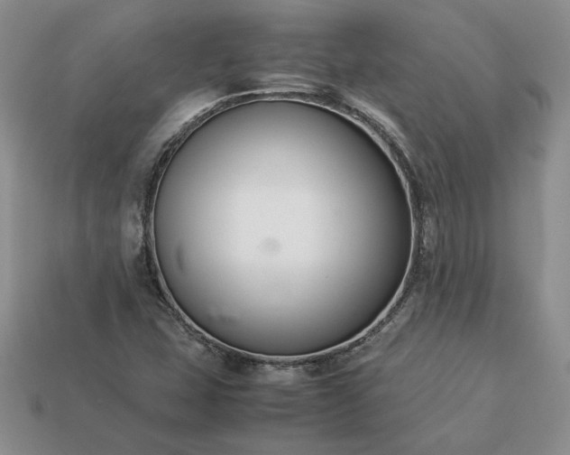 X0000113371407200909291041