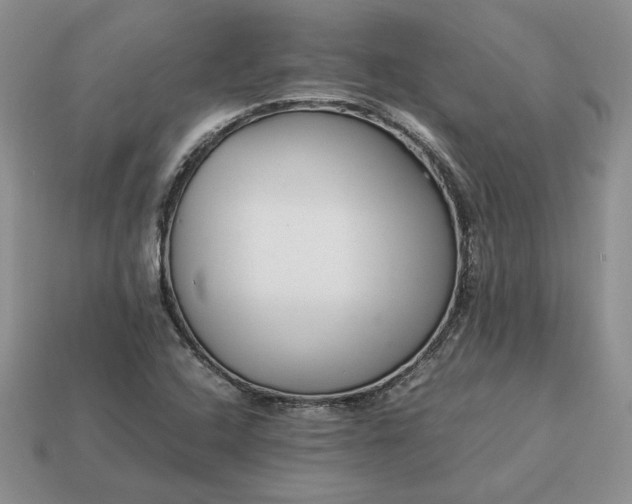 X0000113371408200909291041