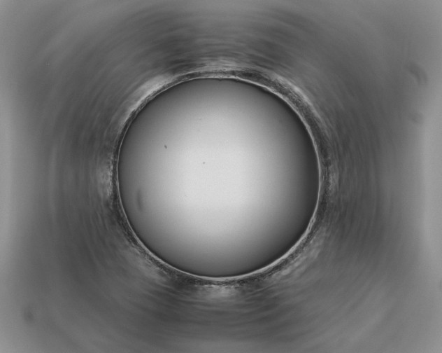 X0000113371409200909291041