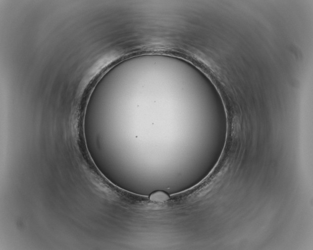 X0000113371410200909291041